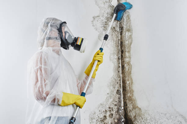 Best Crawl Space Mold Removal  in Farm Loop, AK