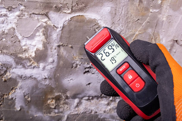 Best Mold Remediation  in Farm Loop, AK