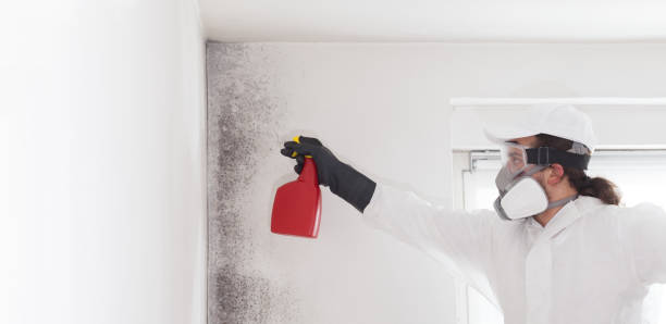 Best Crawl Space Mold Removal  in Farm Loop, AK